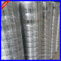 Anping DM natural-field fences (at best price)